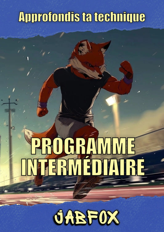 Programme Intermédiaire - JABFOX JABFOX